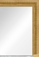 Зеркало Багет 500-11-SB