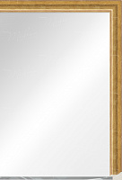 Зеркало в раме 1814.740