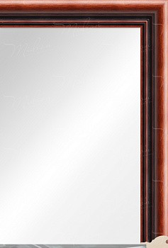 Зеркало в раме 39M890N