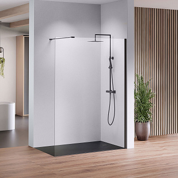 Стеклянная стационарная перегородка в душевую Стеклянная стационарная перегородка в душевую